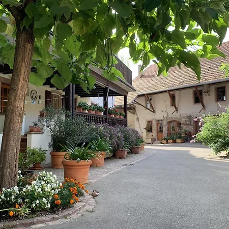 Le Murier In The Heart Of A アパート *