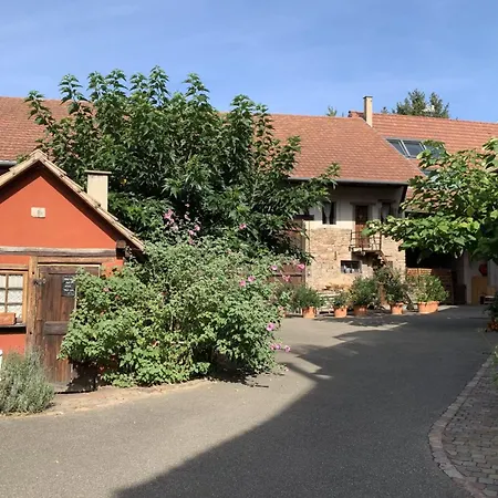 Le Murier In The Heart Of A アパート *